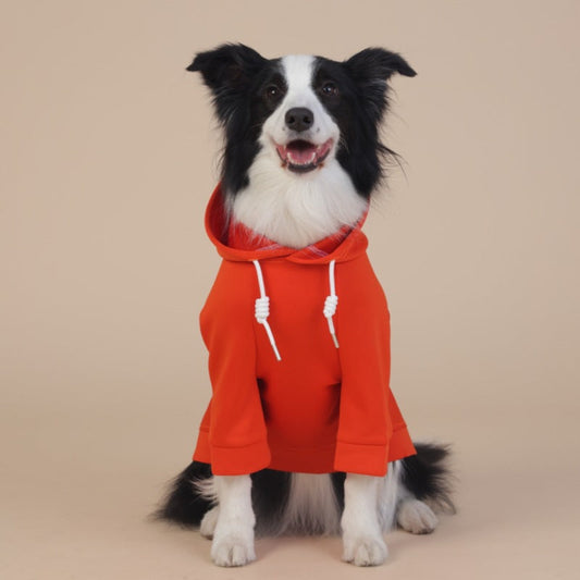 NNEDSZ 6XL Orange Cute Dog Hoodie with Adjustable Drawstring - Available in Various Sizes